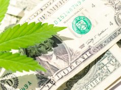 Ricardo Baca: What Would Make Your Business Better? Tell Me Cannabis Money