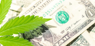 Ricardo Baca: What Would Make Your Business Better? Tell Me Cannabis Money