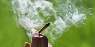 FDA Not Likely to Hand out Joints if Medicinal Cannabis Approved FDA cannabis joints mg Retailer