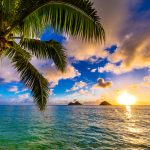 First Medicinal Cannabis Dispensary set to Open on Kauai Kauai cannabis dispensary mg Retailer