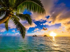 First Medicinal Cannabis Dispensary set to Open on Kauai Kauai cannabis dispensary mg Retailer