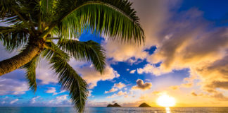 First Medicinal Cannabis Dispensary set to Open on Kauai Kauai cannabis dispensary mg Retailer