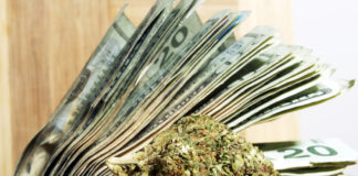 Mass. Rec Cannabis Expected to Have a Slow Start This Summer Massachusetts recreational sales mg Retailer