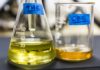 cannabis oil mg magazine