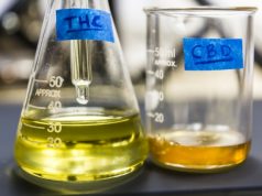 Concentrates: The Hottest Product Category in Cannabis cannabis oil mg magazine