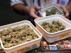 New Jersey Cannabis Legalization Expected to Create $850 Million Market legal cannabis could be big market in New Jersey mg Retailer