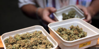 New Jersey Cannabis Legalization Expected to Create $850 Million Market legal cannabis could be big market in New Jersey mg Retailer