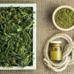 Oregon Cannabis Growers Shifting Toward Hemp Production marijuana growers turning to hemp in Oregon mg Retailer