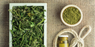 Oregon Cannabis Growers Shifting Toward Hemp Production marijuana growers turning to hemp in Oregon mg Retailer