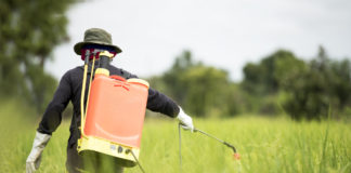 Dangerous Pesticides Increasingly Found in Illegally Grown Cannabis