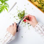 6 Ways to Motivate Employees at Your Dispensary or Office motivating marijuana dispensary employees mg retailer