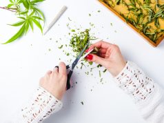 6 Ways to Motivate Employees at Your Dispensary or Office motivating marijuana dispensary employees mg retailer