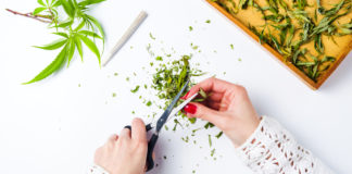 6 Ways to Motivate Employees at Your Dispensary or Office motivating marijuana dispensary employees mg retailer