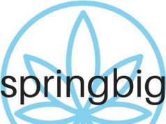 springbig mg magazine