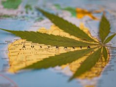 Cannabis on the Global Stage: How 7 Countries Are Upping Their Game Australia