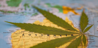 Cannabis on the Global Stage: How 7 Countries Are Upping Their Game Australia