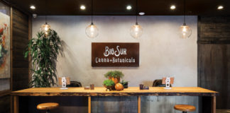 Dispensary Spotlight: Smart Business and Soul Meet in Big Sur Big Sur Botanicals Lobby mg magazine July 2018 MGmagazine