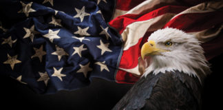 Can America Catch Up to Cannabis? Can America Catch Up to Cannabis mg magazine June 2018