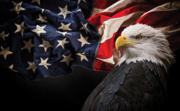 Can America Catch Up to Cannabis mg magazine June 2018