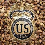 DEA says it Won’t Prohibit Cannabis Stems, Seeds for Product Use, Sale DEA Stems Seeds mg magaizne