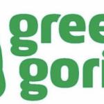 GREEN GORILLA LAUNCHES BOTANICAL CBD BALM TO TREAT MUSCLE AND JOINT PAIN AND INFLAMMATION Green gorilla mg magazine