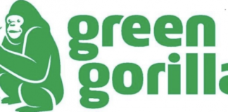 GREEN GORILLA LAUNCHES BOTANICAL CBD BALM TO TREAT MUSCLE AND JOINT PAIN AND INFLAMMATION Green gorilla mg magazine