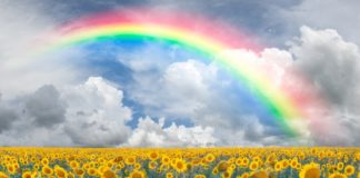 June Strains: Rainbows and Road Trips Rainbow strains mg magazine