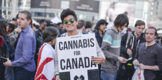 Canada Legalizes Recreational Cannabis Nationwide canada legalizes cannabis mg Retailer