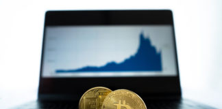 4 Cannabis Cryptos for Business Owners to Consider cannabis cryptocurrency MG Retailer