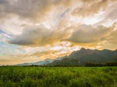 6 States With the Largest Hemp Industries hemp fields mg retailer