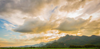 6 States With the Largest Hemp Industries hemp fields mg retailer