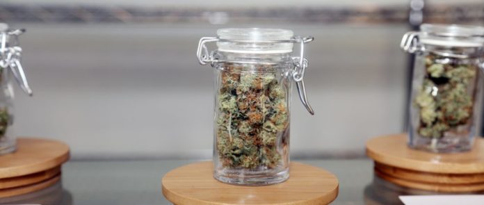recreational cannabis delays Massachusetts Mg Retailer e1529095845433