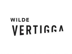 vertigga mg magazine
