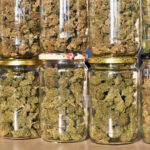 Cannabis Users Buying Less Flower, More Edibles, Oils Cannabis-flower-sales-mg-Retailer