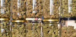 Cannabis Users Buying Less Flower, More Edibles, Oils Cannabis-flower-sales-mg-Retailer