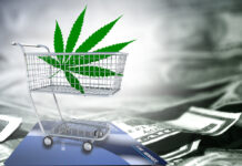 7 Things to Know About Recreational Cannabis in Massachusetts Massachusetts Recreational Cannabis Sales mg Retailer 2