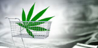 7 Things to Know About Recreational Cannabis in Massachusetts Massachusetts Recreational Cannabis Sales mg Retailer 2