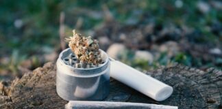 5 Cannabis-Friendly Vacation Spots off the Beaten Path cannabis-friendly-vacation-spots-mg-Retailer-3