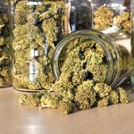 Bill Introduced to Allow Federal Employees to use Cannabis in Legal States cannabis mg magazine