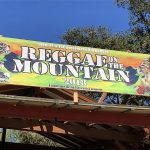 Summer Vibes: LA Reggae Festival Enhanced by CBD Brands reggae on the mountain mg magazine