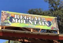 Summer Vibes: LA Reggae Festival Enhanced by CBD Brands reggae on the mountain mg magazine