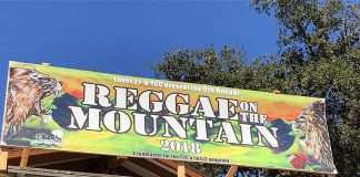 Summer Vibes: LA Reggae Festival Enhanced by CBD Brands reggae on the mountain mg magazine