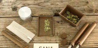 The Recommender: Products that are Kind to the Earth