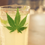 Queens Bar Pouring CBD Infused Drinks CBD Infused Cocktail New York City mg Retailer 1