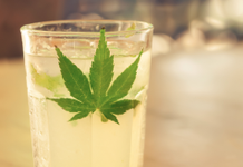 Queens Bar Pouring CBD Infused Drinks CBD Infused Cocktail New York City mg Retailer 1