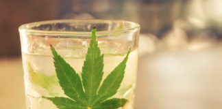 Queens Bar Pouring CBD Infused Drinks CBD Infused Cocktail New York City mg Retailer 1