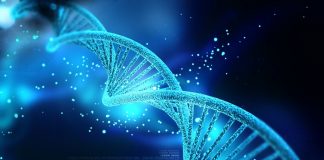 Possible Genetic Predisposition for Cannabis Use Identified DNA mg magazine
