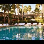 Saving Sophie Fundraiser for Pediatric Cancer Research Announced DlPLnHxVsAERivm