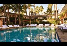 Saving Sophie Fundraiser for Pediatric Cancer Research Announced DlPLnHxVsAERivm