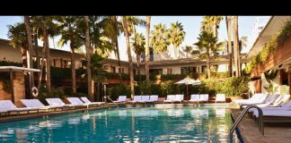 Saving Sophie Fundraiser for Pediatric Cancer Research Announced DlPLnHxVsAERivm